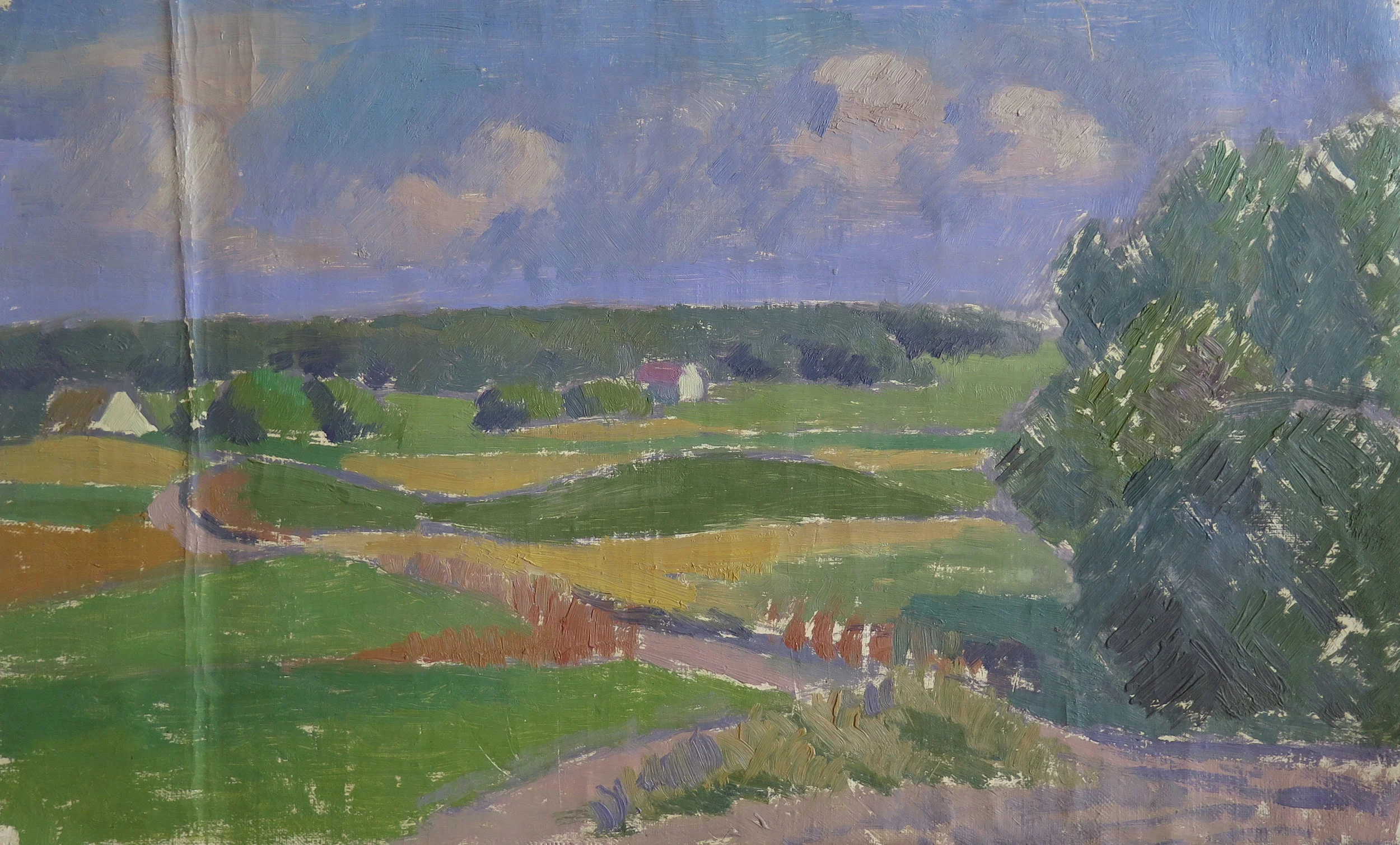 Danish Summer Landscape