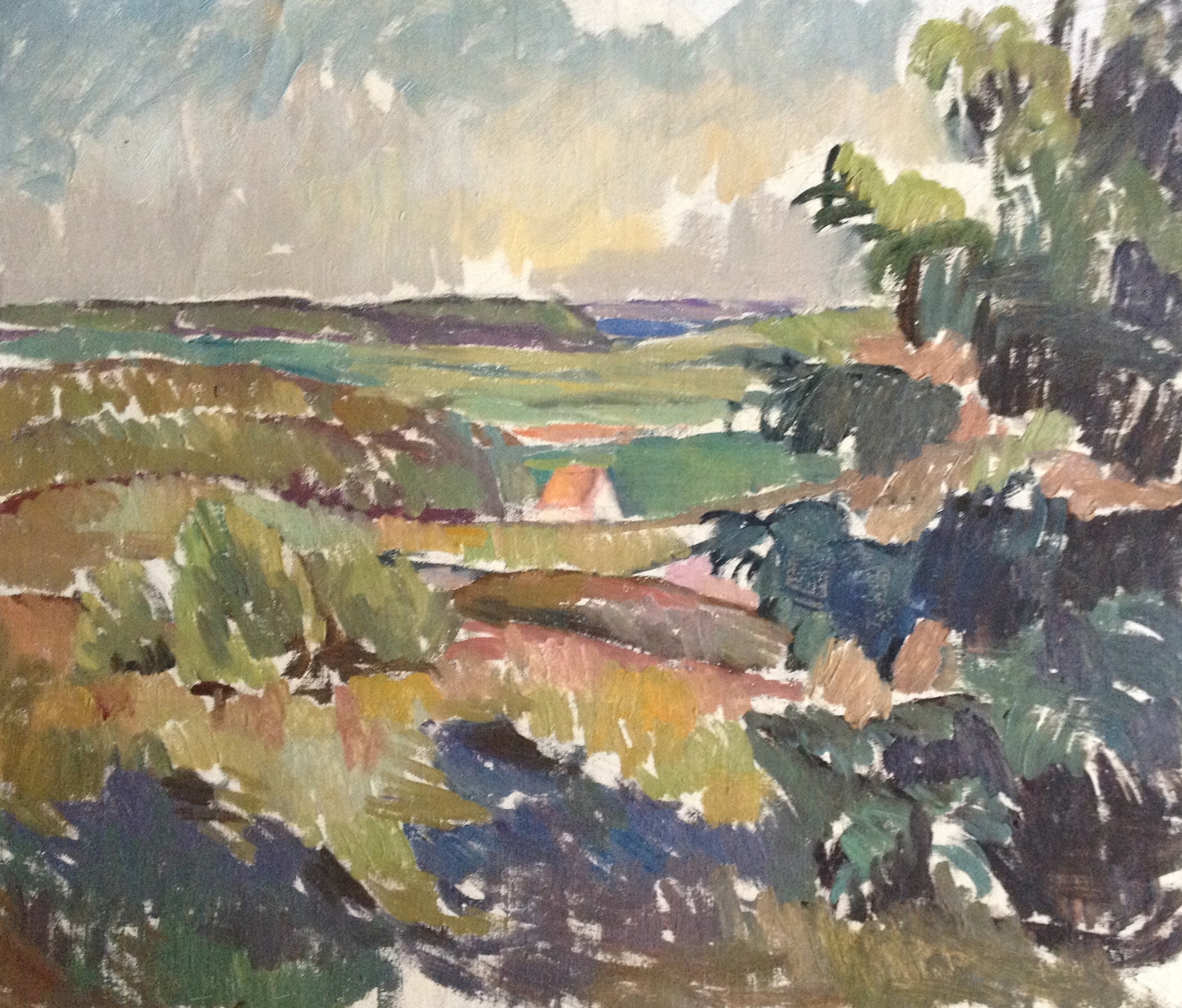 Danish Farmland
