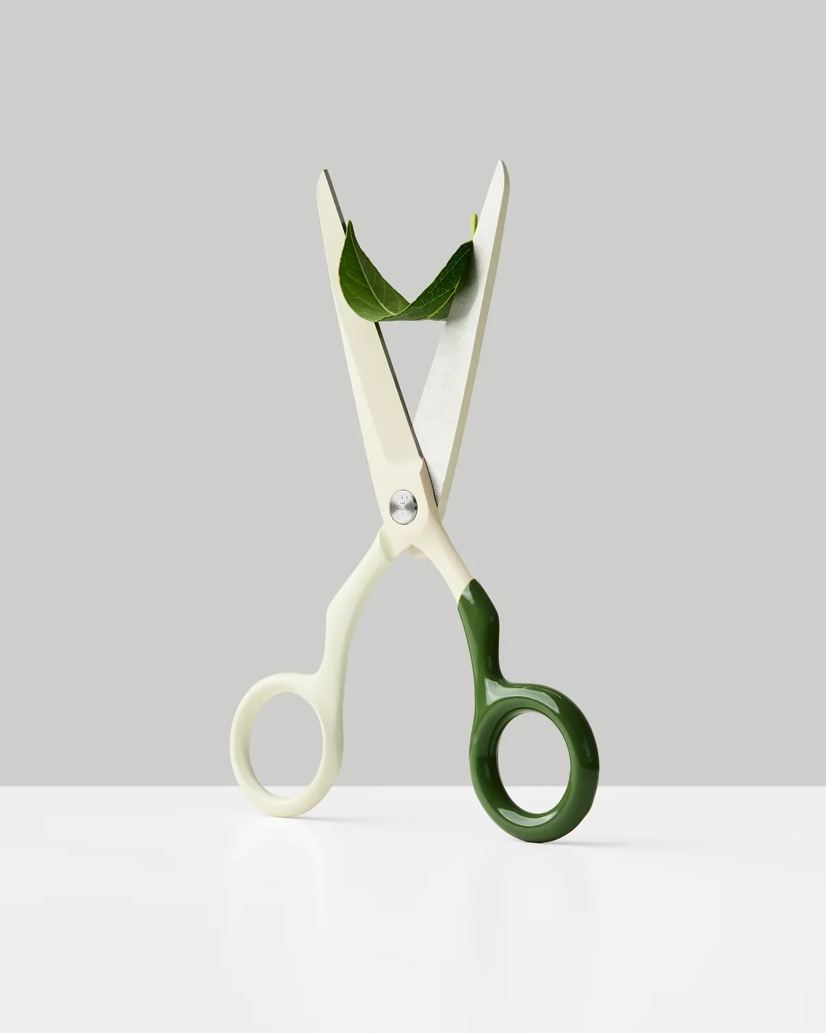 Craighill_Spectra_Scissors_Cream_Forest_Green_3.webp