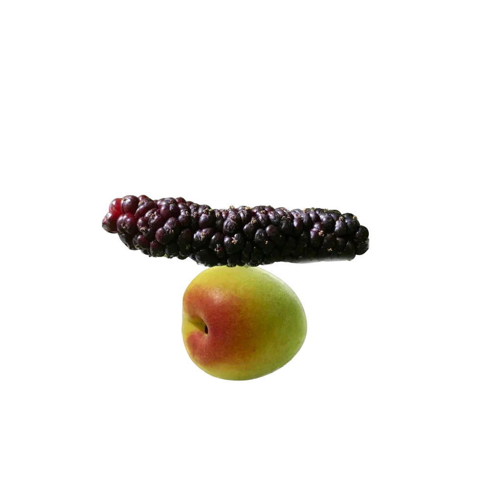 Saba_Jam_Mulberry_Plum_1.webp