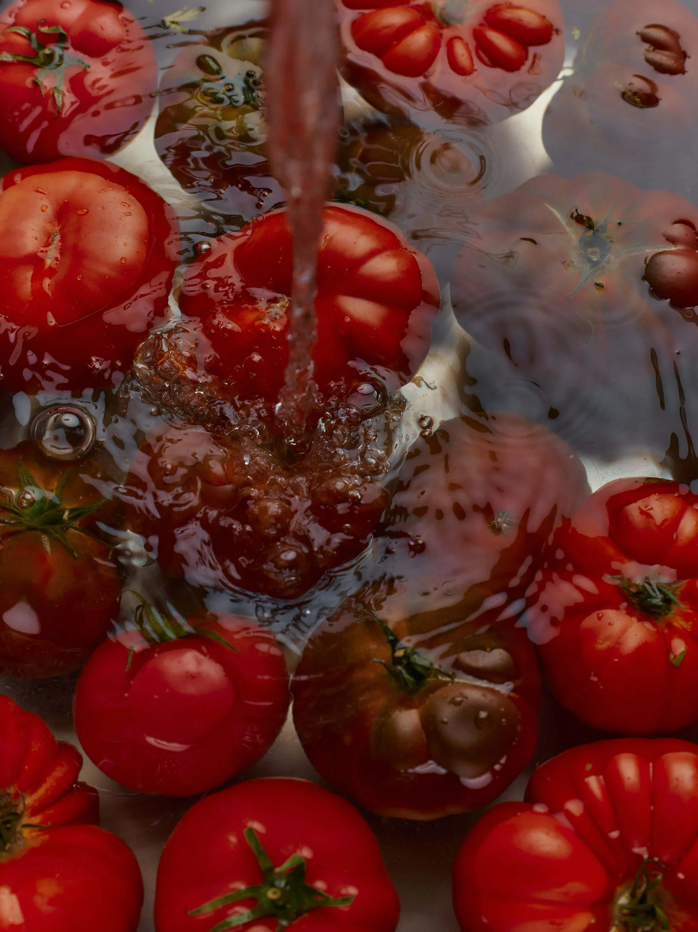 Flamingo_Estate_Roma_Heirloom_Tomato_Hand_Soap_3.webp