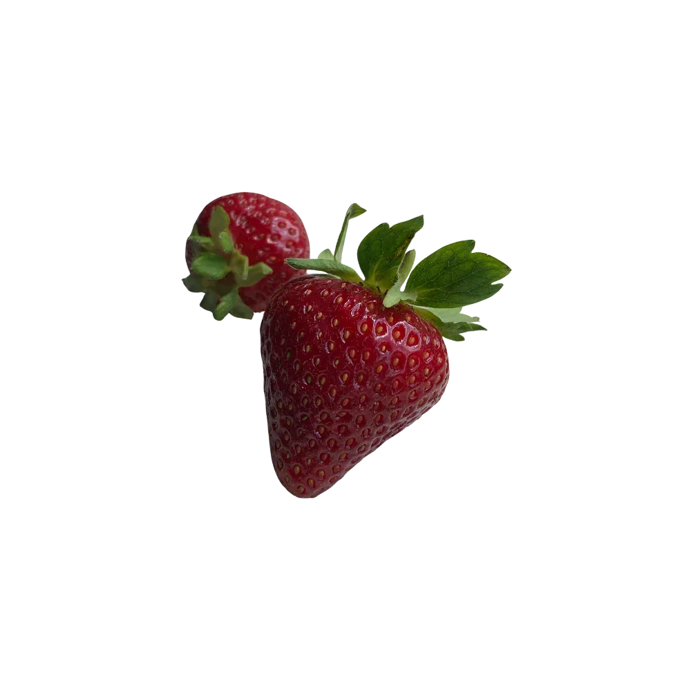 Saba_Jam_Strawberry_Rhubarb_2.webp