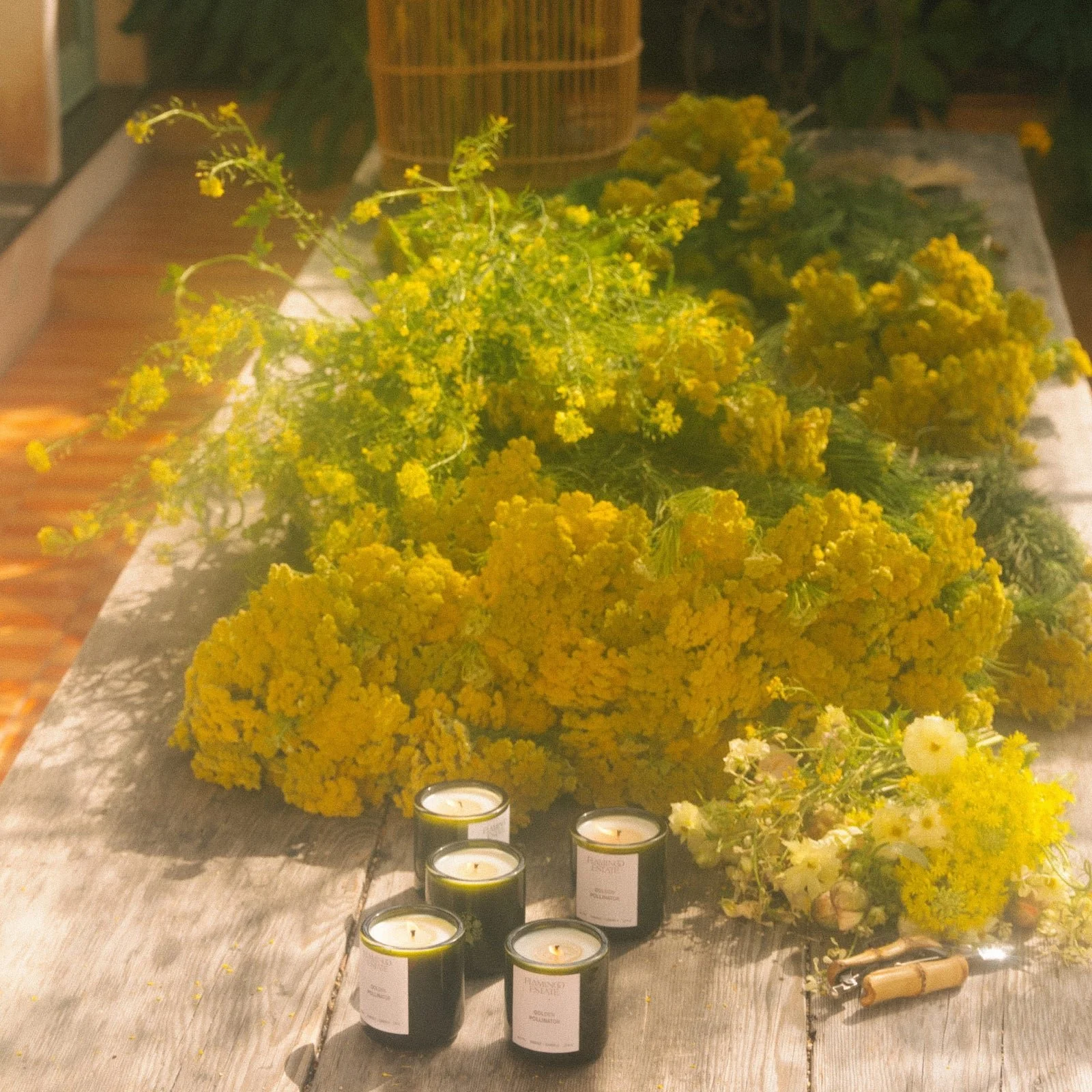 Flamingo_Estate_Golden_Pollinator_Candle_4.jpg