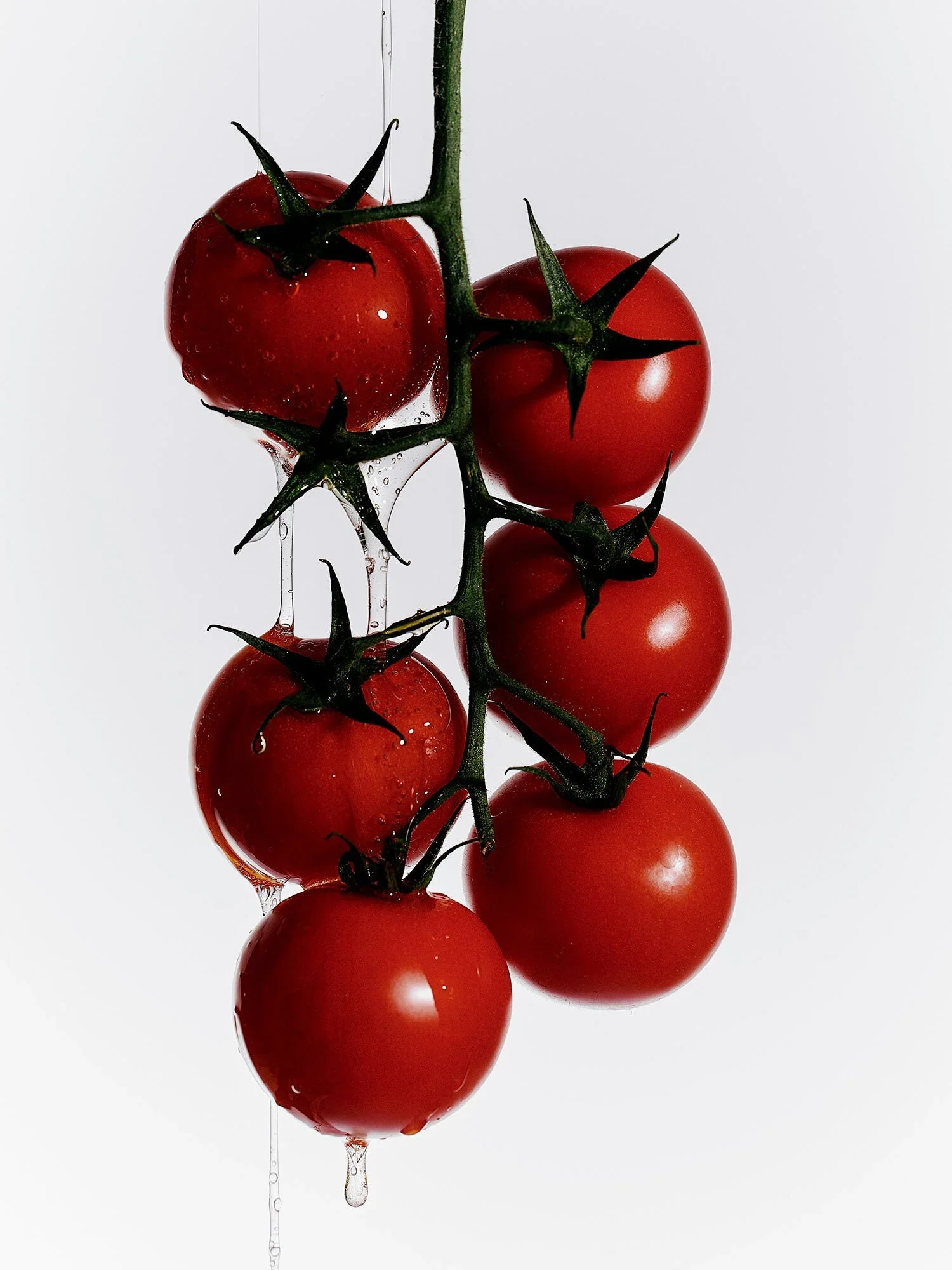 Flamingo_Estate_Roma_Heirloom_Tomato_Hand_Soap_1.webp