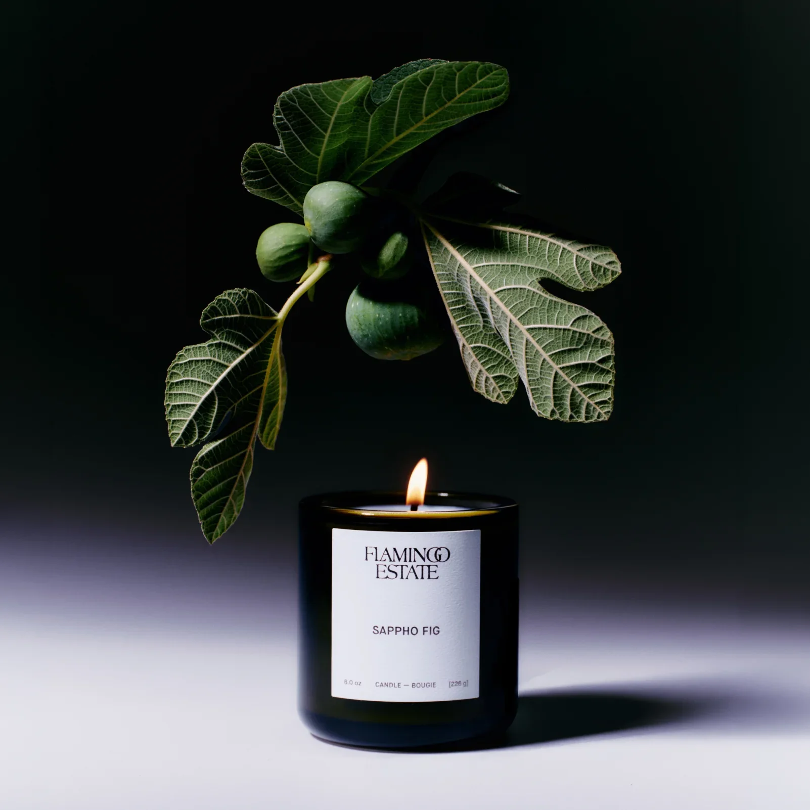 Flamingo_Estate_Sappho_Fig_Candle_4.webp