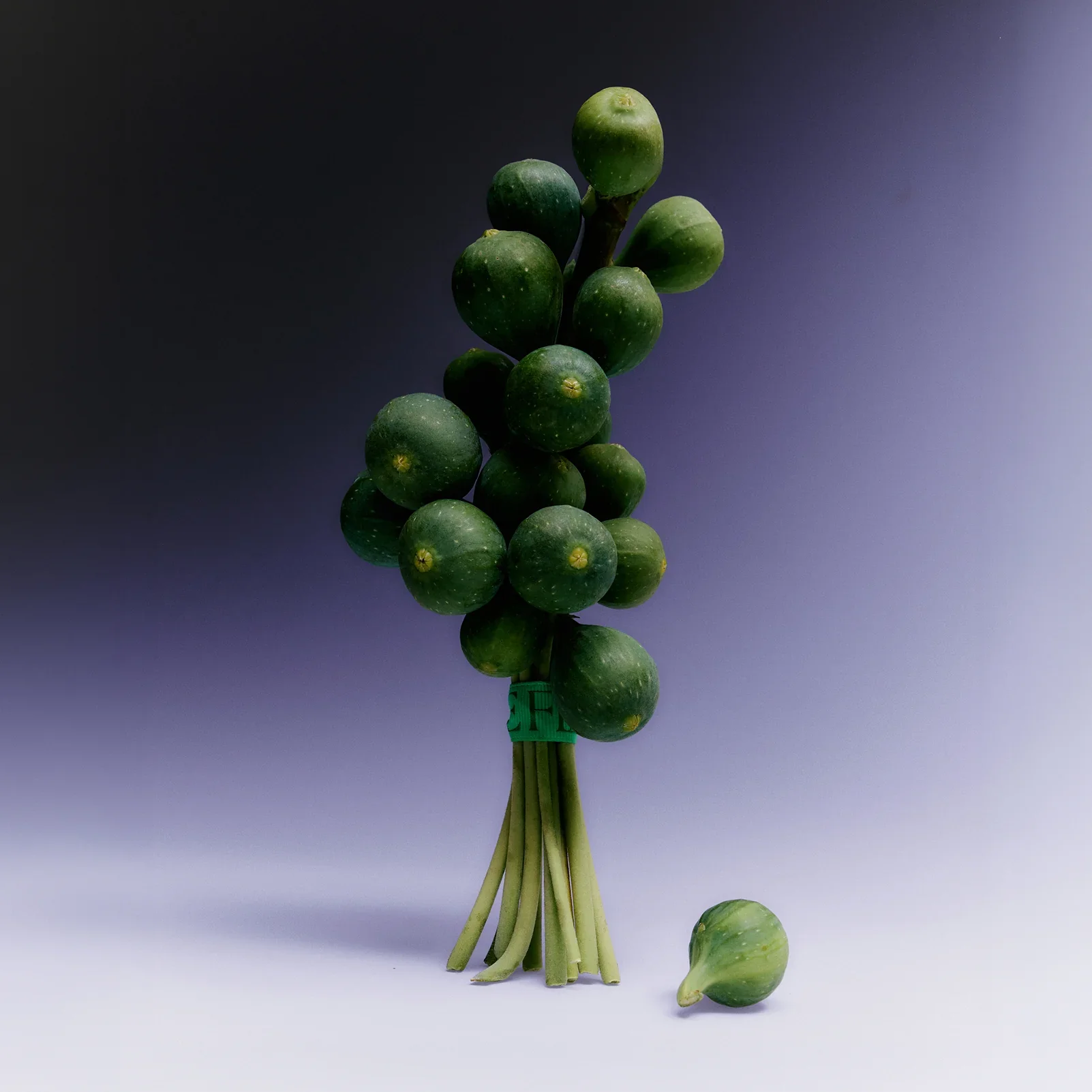 Flamingo_Estate_Sappho_Fig_Candle_3.webp