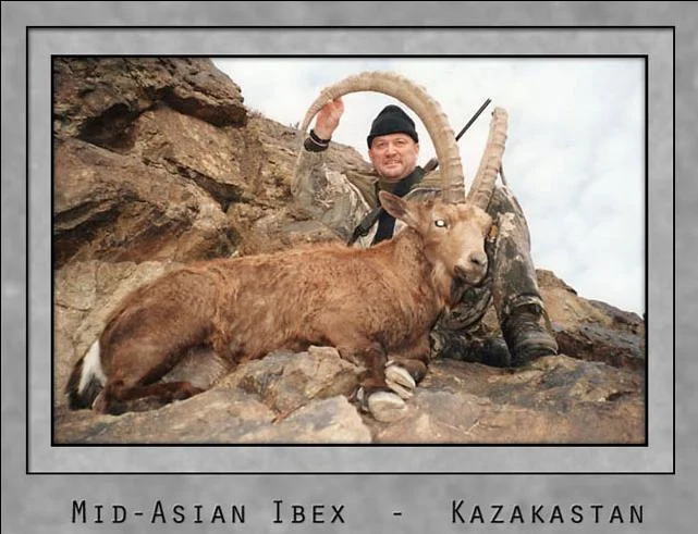 Mid-Asian Ibex.jpg