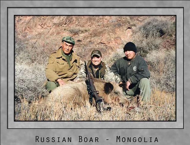 Russian Boar.jpg