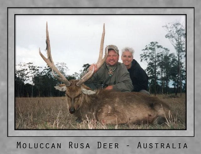 Moluccan Rusa Deer.jpg