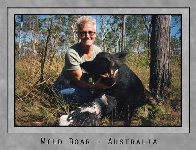 Wild Boar.jpg