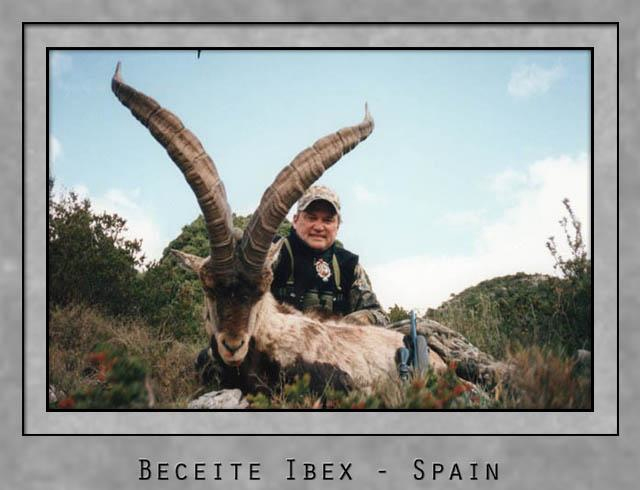 Beceite Ibex.jpg