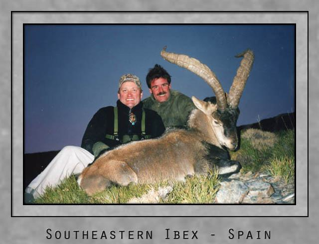 southeastern ibex.jpg