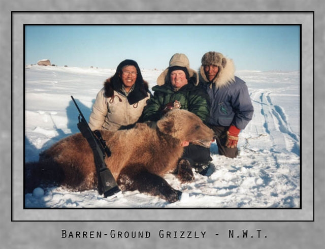 Barren ground grizzly.jpg