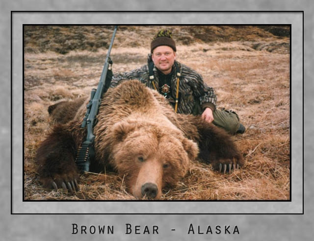 brown bear.jpg