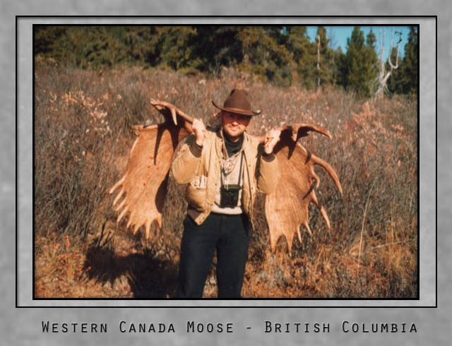 Western Canada Moose.jpg