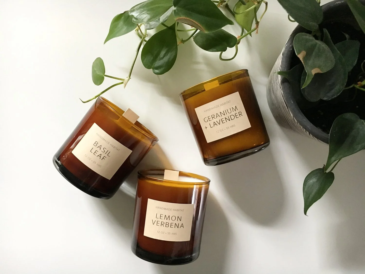 The Summer Garden Collection