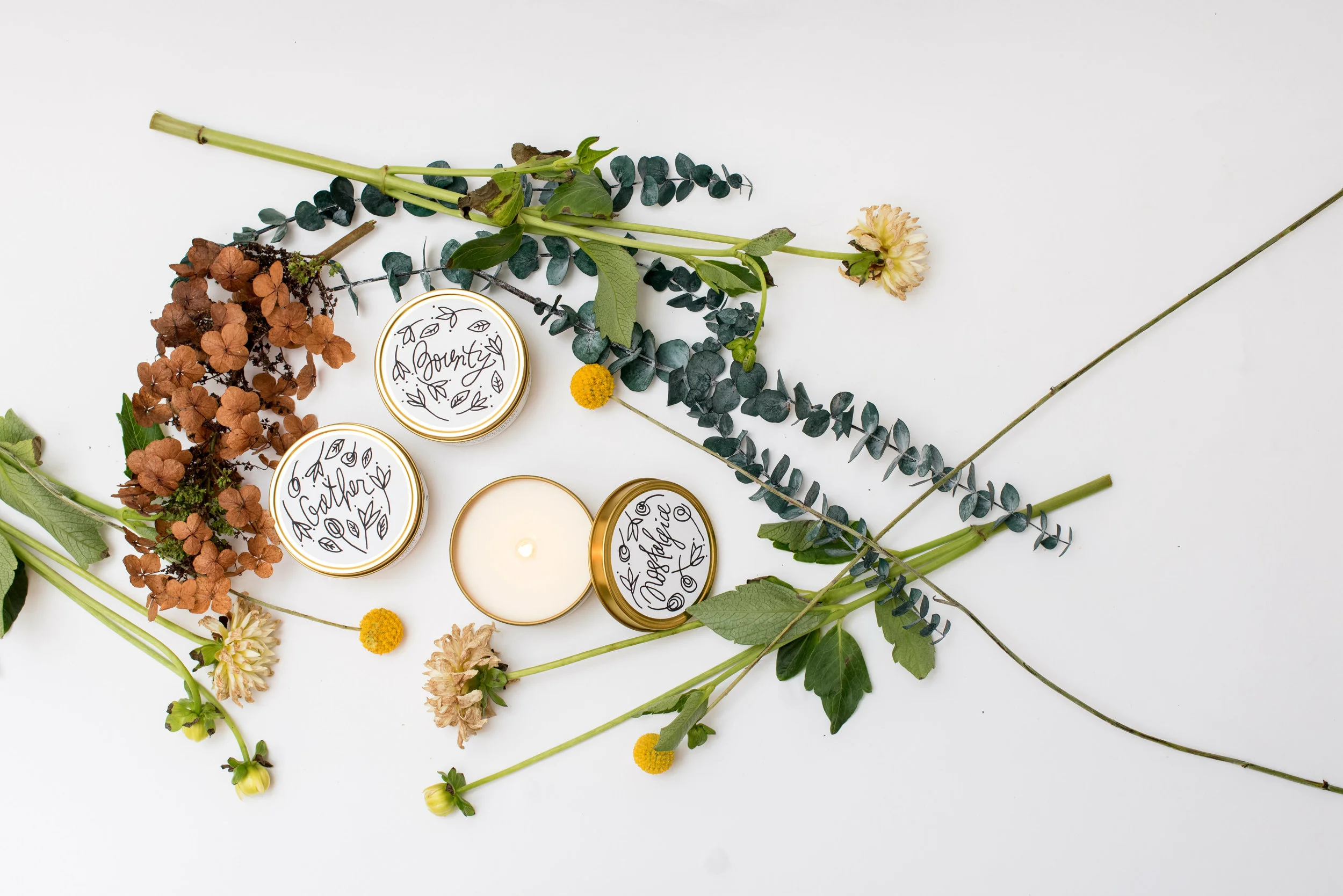 WARMTH, Our Fall / Holiday Collection