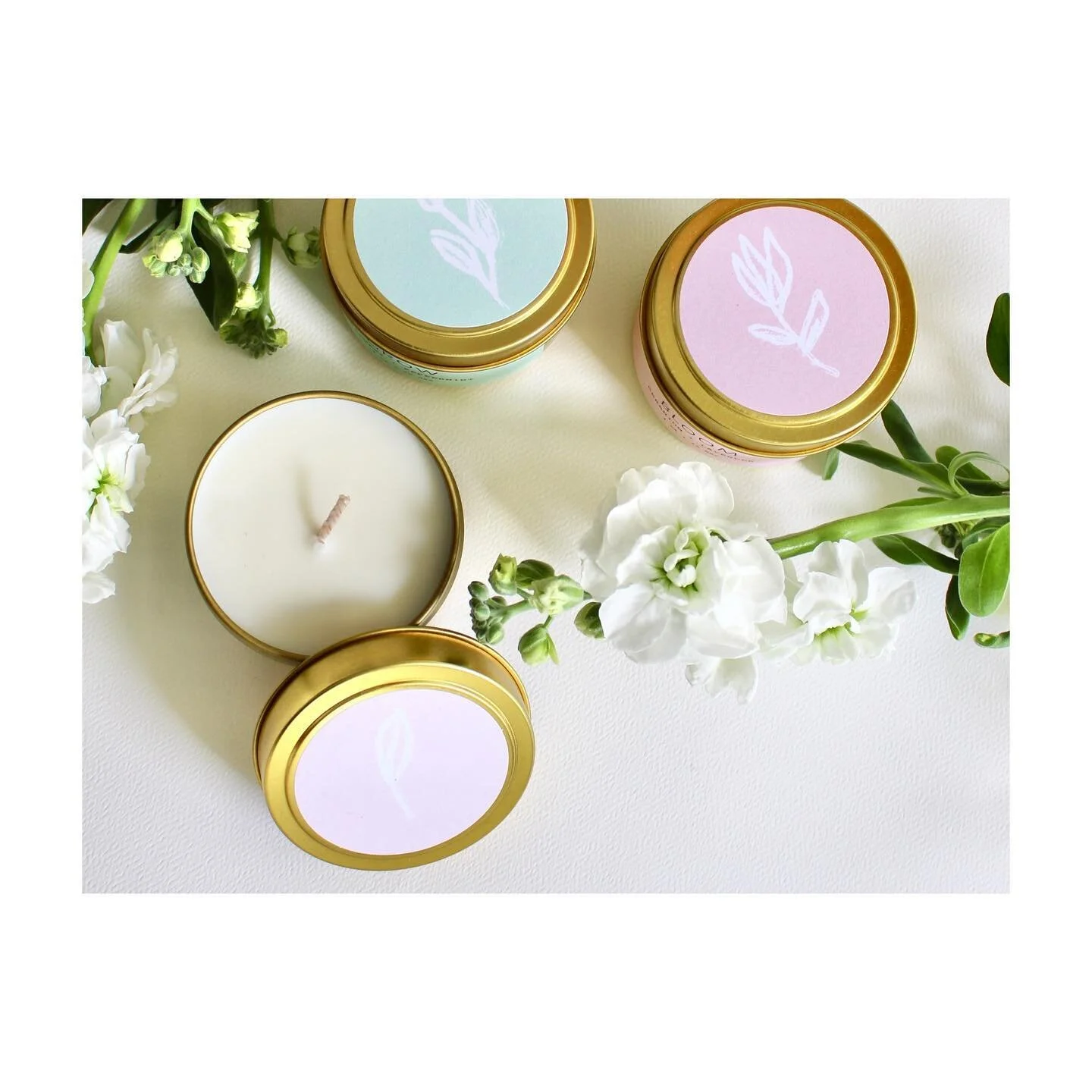 Our spring garden sale goes through tonight at midnight! Take 10% off the garden collection with the code &ldquo;SPRINGSPRANG&rdquo; at checkout. 

But more importantly: I shot this collection on xxxl watercolor paper and it might be my new favorite 