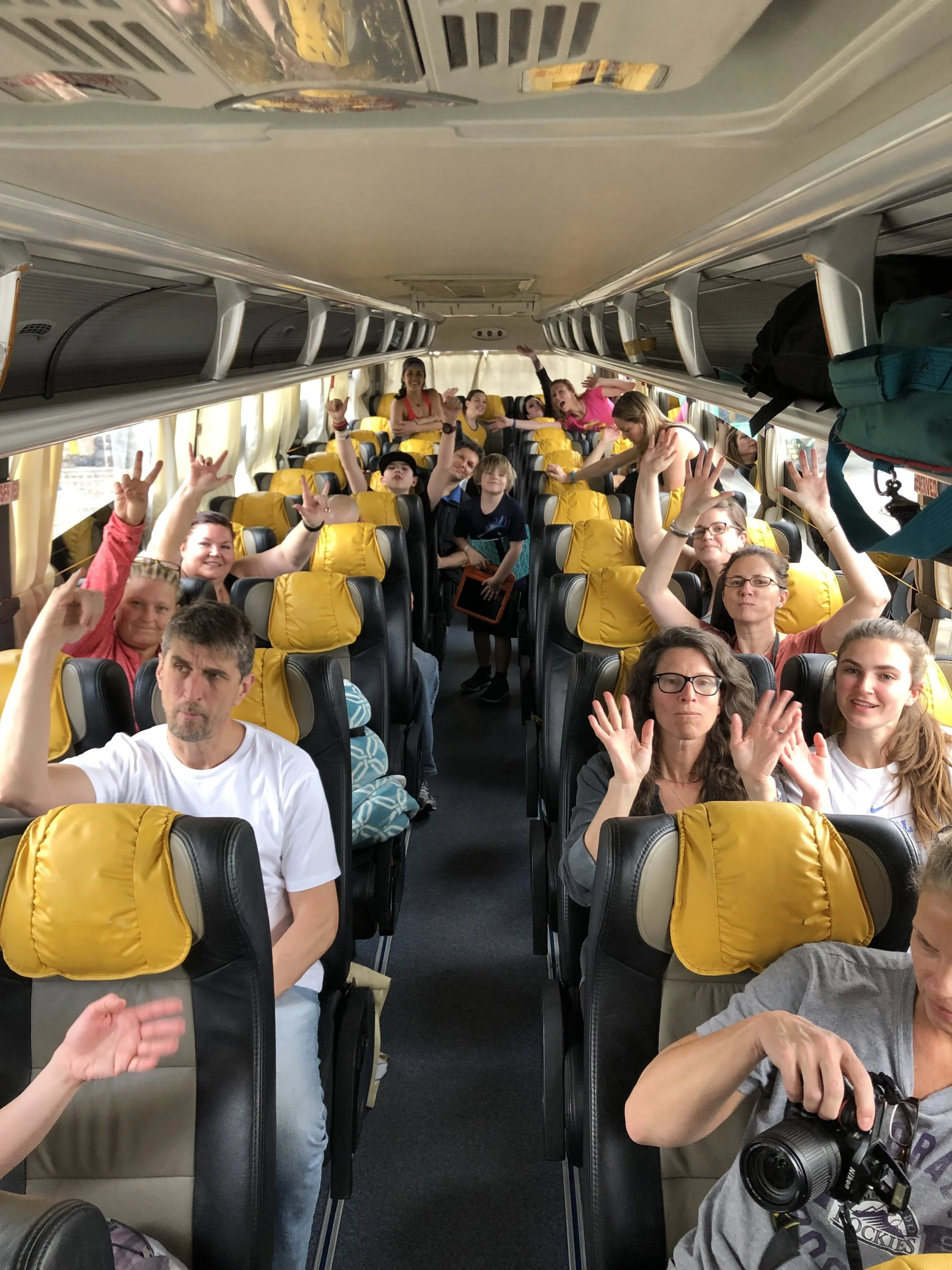 bus.jpeg