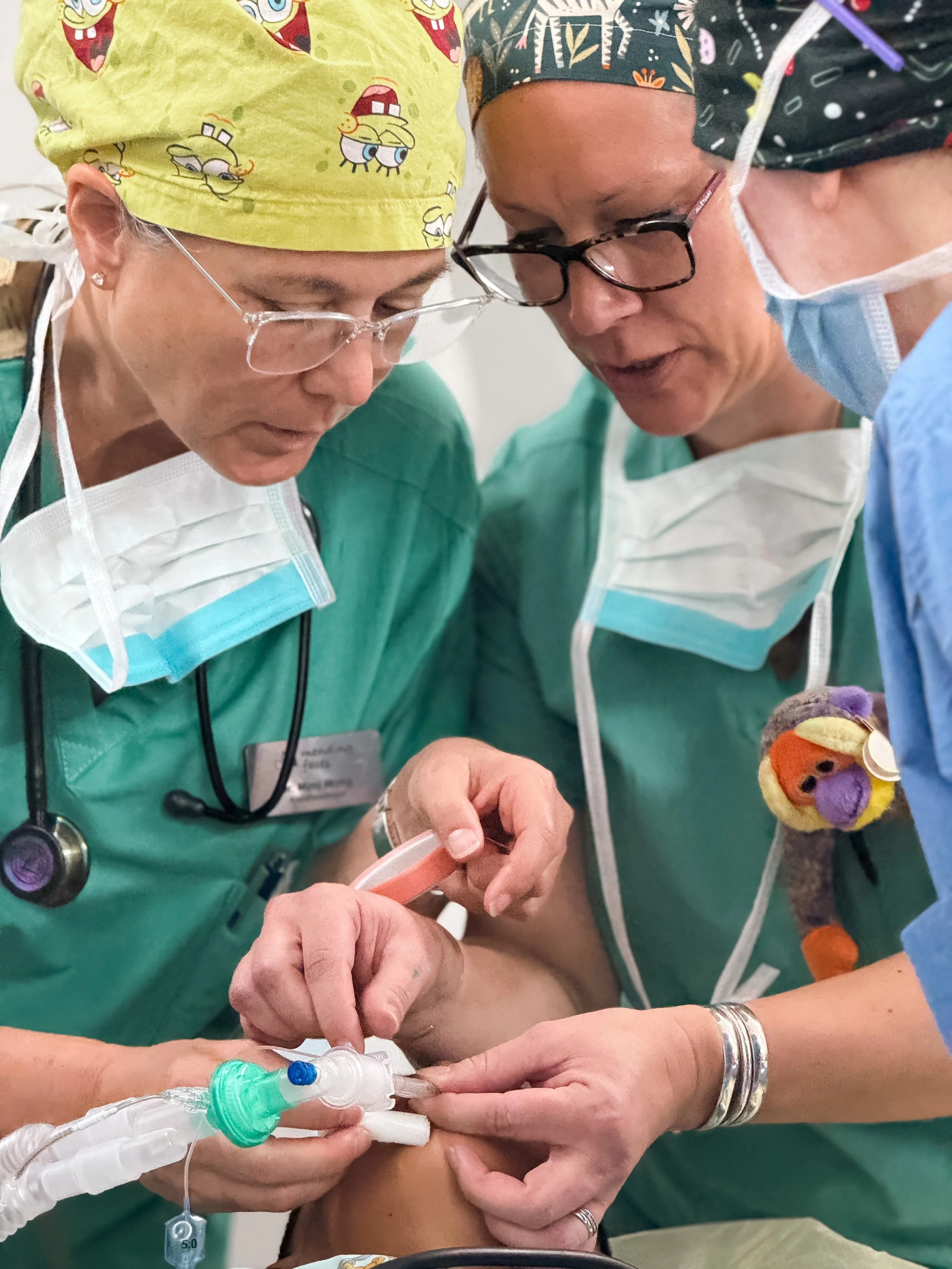 Photo Feb 23 2026, 11 03 14 AM.JPG