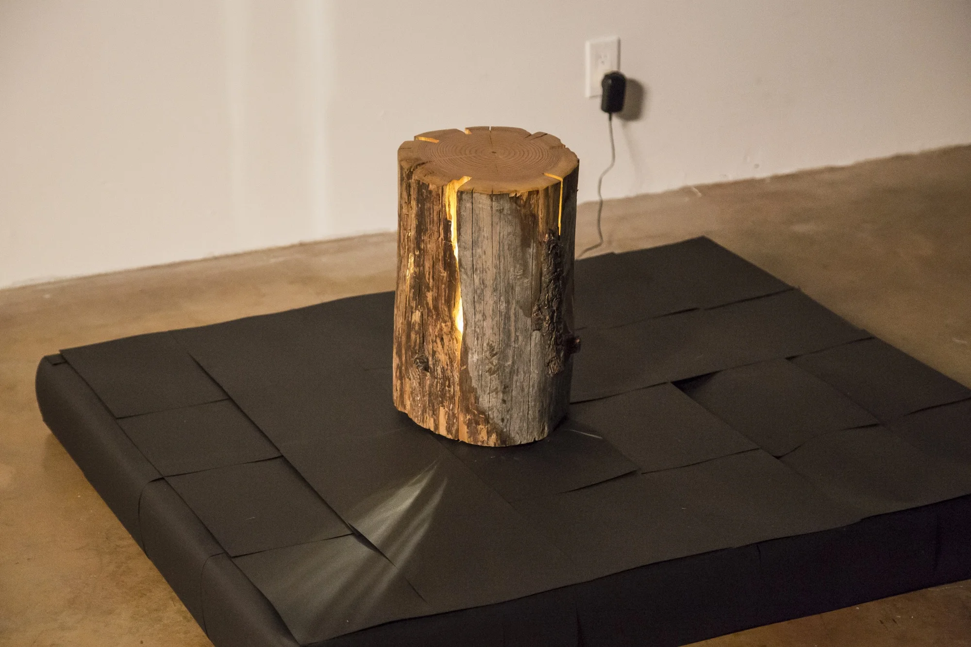 LAMP2014photoMichaelYoung19.jpg