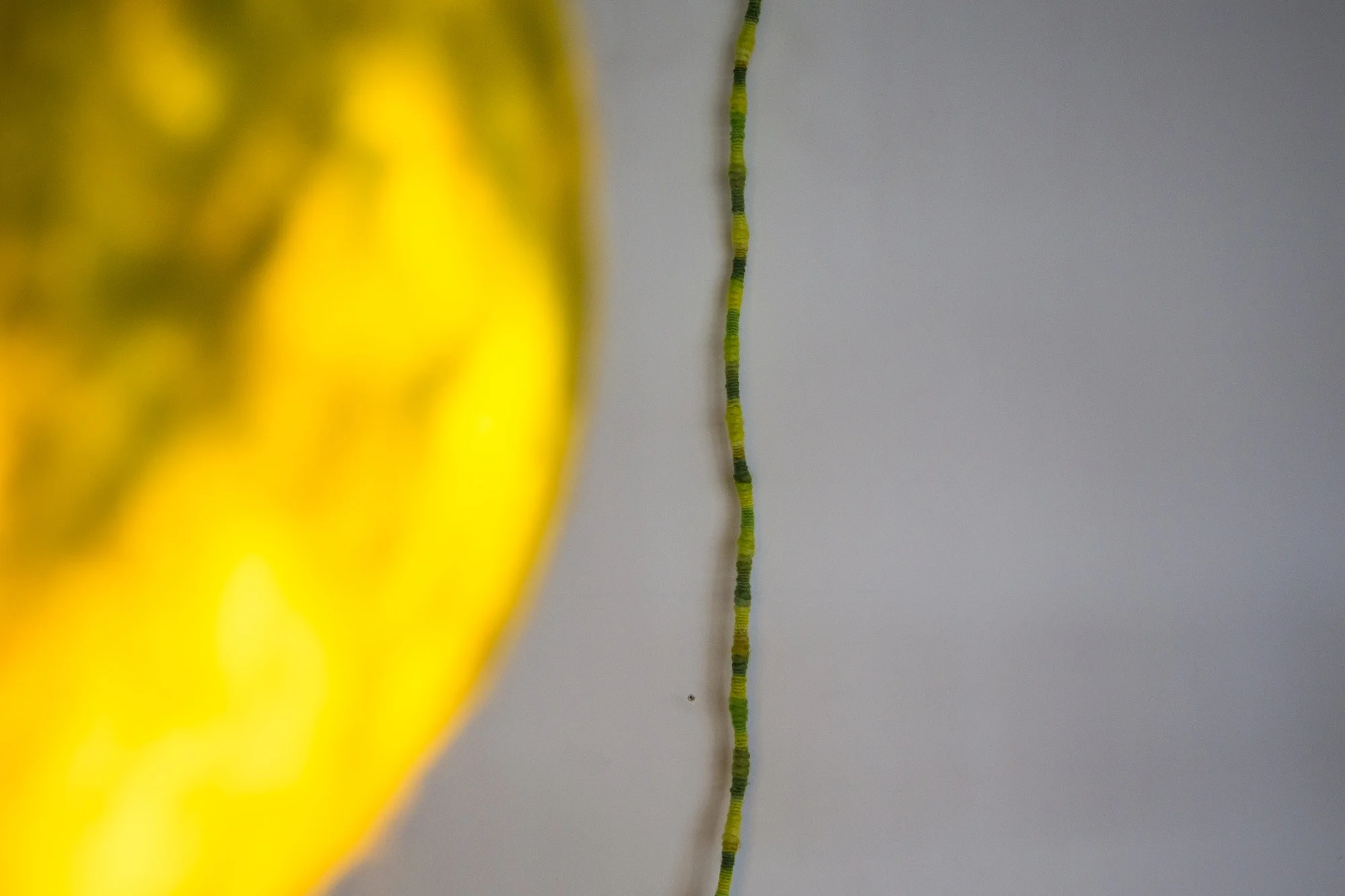 LAMP2014photoMichaelYoung30.jpg
