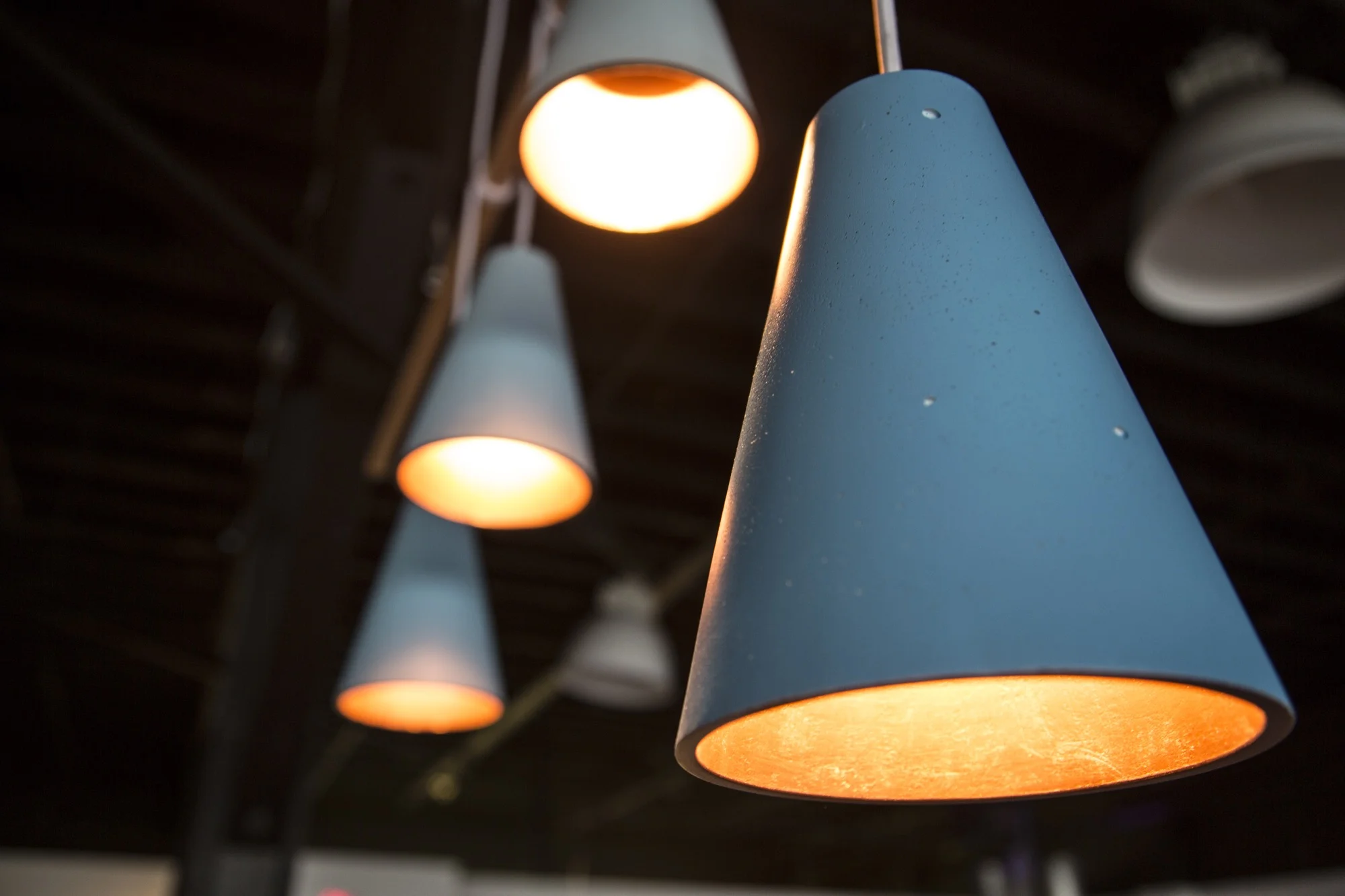 LAMP2014photoMichaelYoung32.jpg