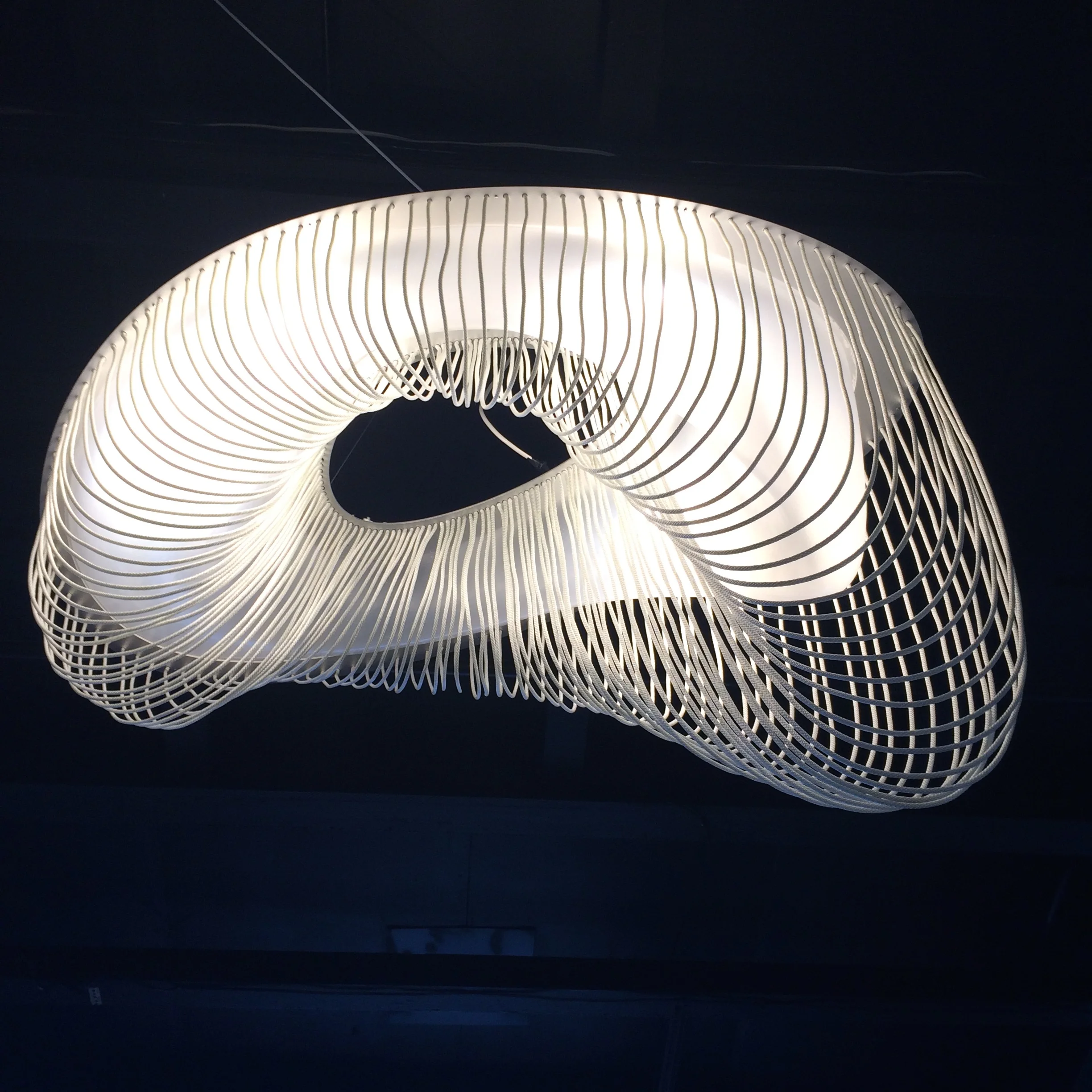 LAMP2014-15.jpg