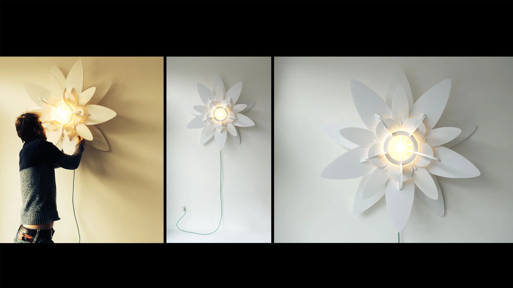Desert Lotus