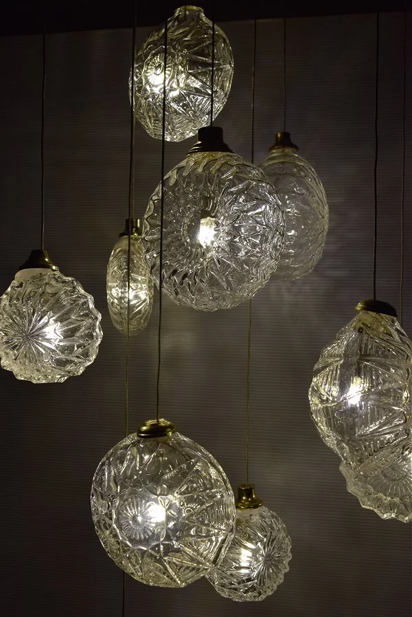 Jellyfish_EM_1.jpg