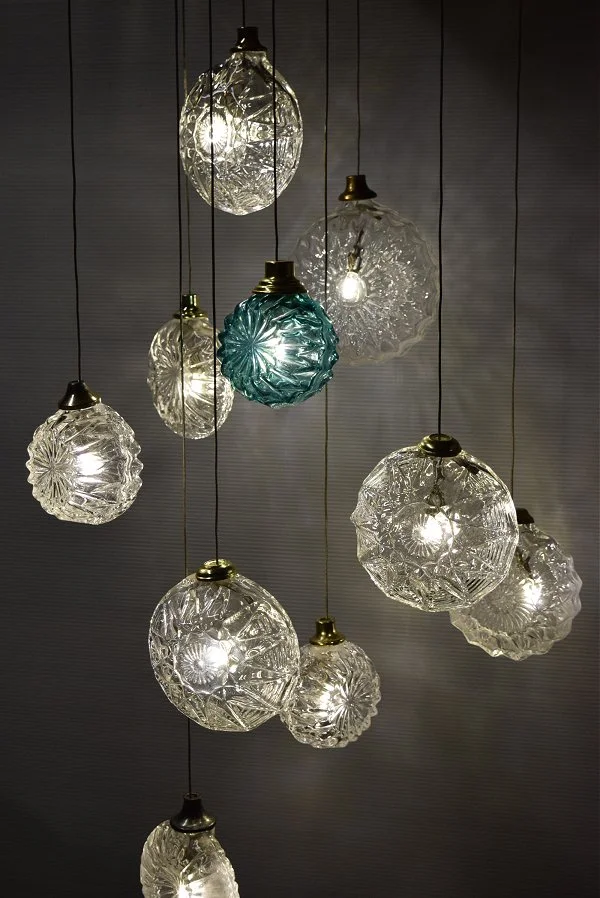 Jellyfish_EM_2.jpg