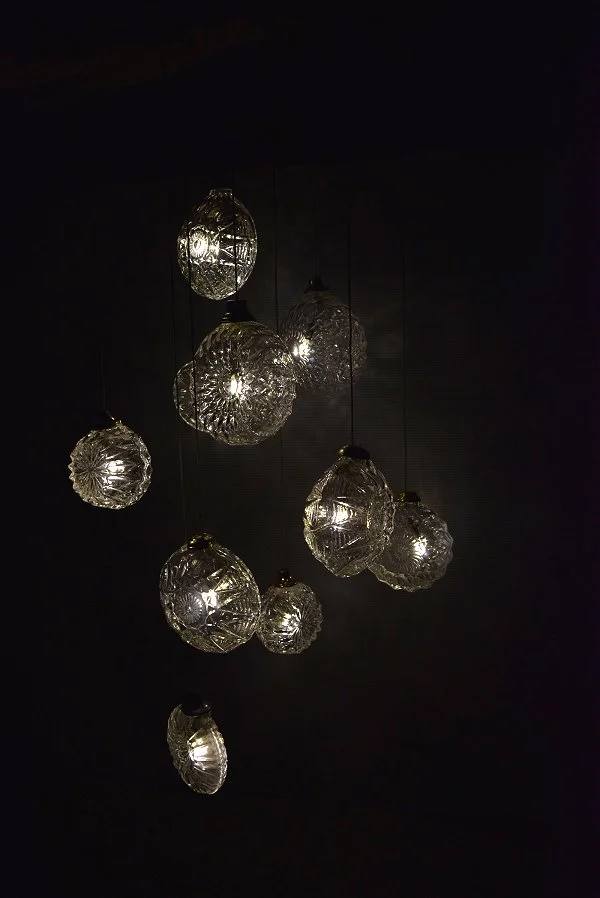 Jellyfish_EM_3.jpg