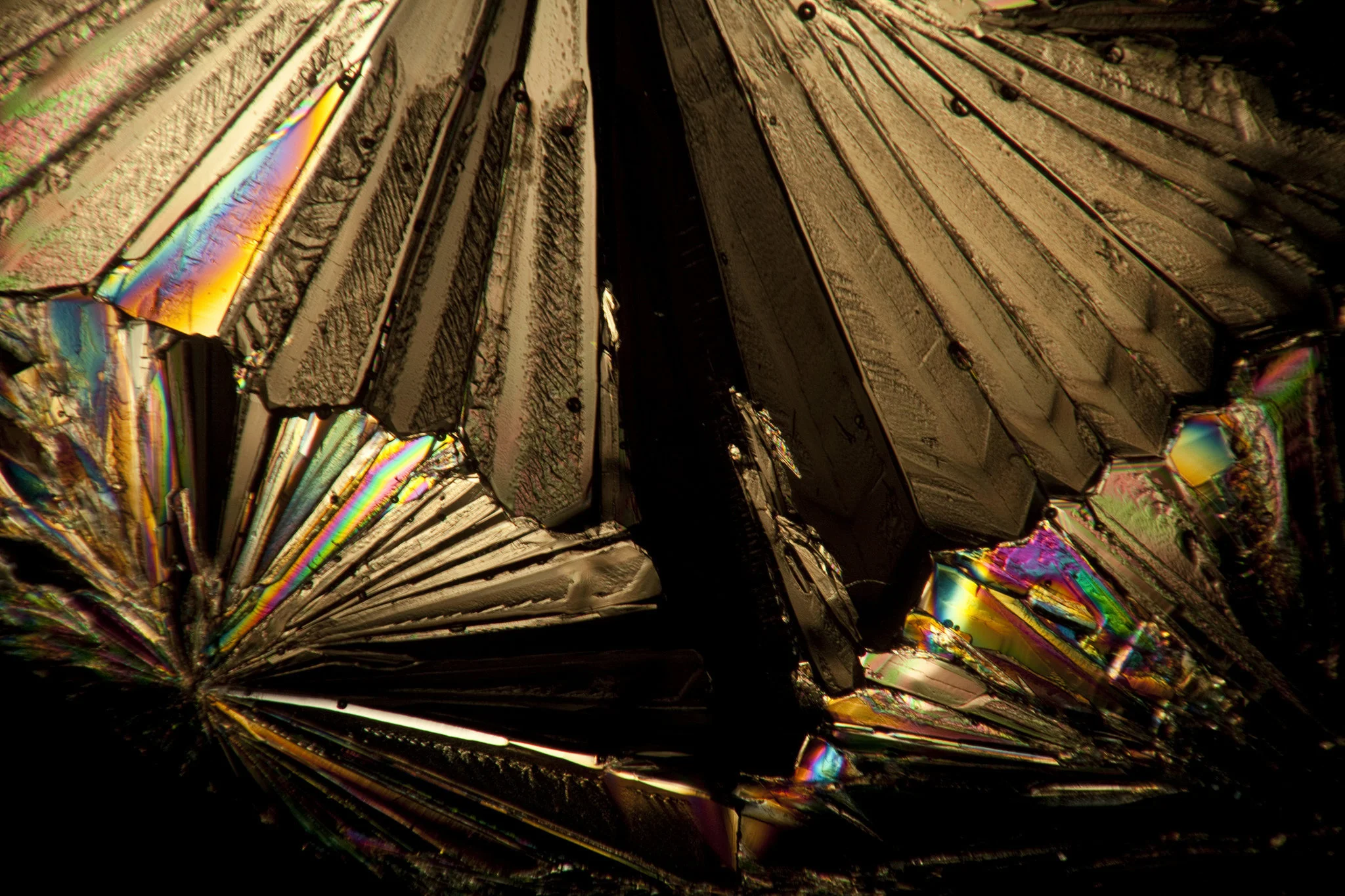 8d7814793069a62b82cce636b9d4ecbf.jpg