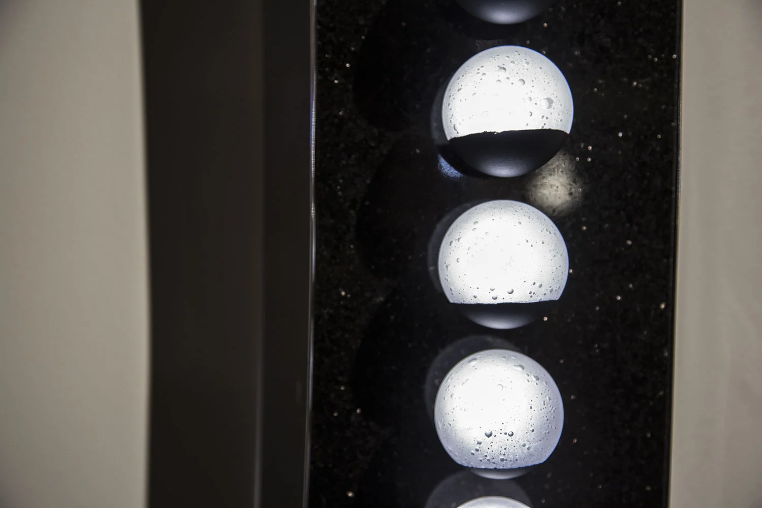 LAMP2016_Finalist_photoMichaelYoung9.jpg