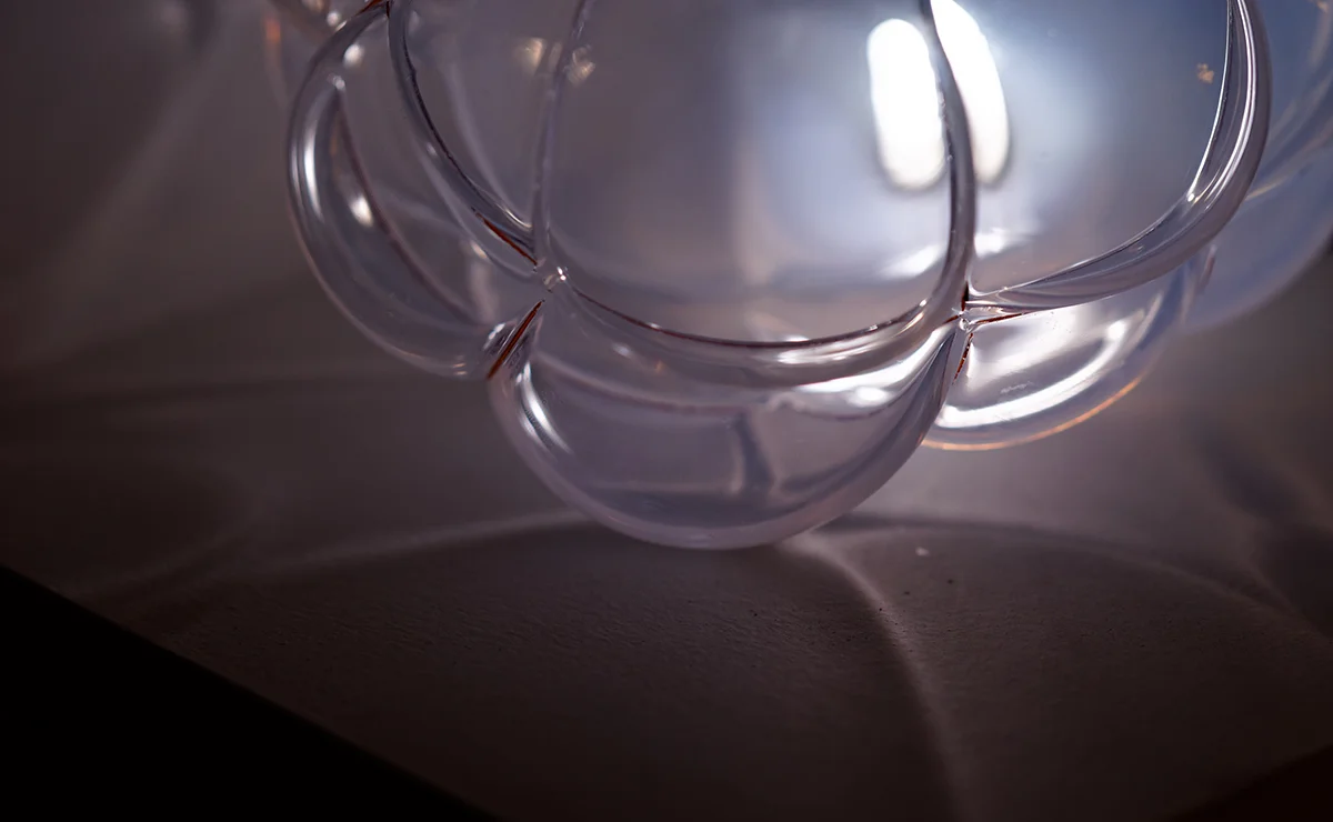 LAMP2016_photoAndrewWong_web4.jpg