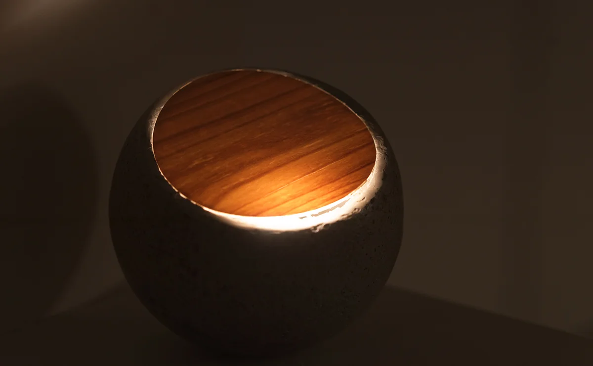 LAMP2016_photoAndrewWong_web6.jpg