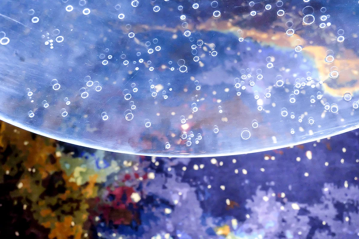LAMP2016_photoAnnikaHagen_web13.jpg