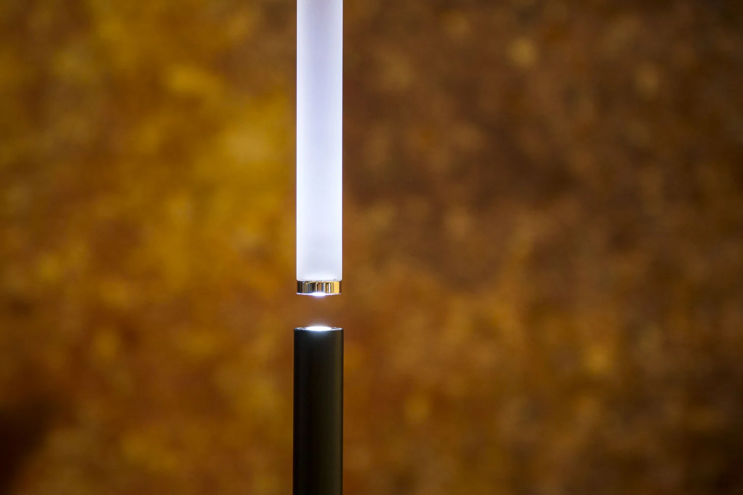 LAMP2016_Finalist_photoMichaelYoung2.jpg