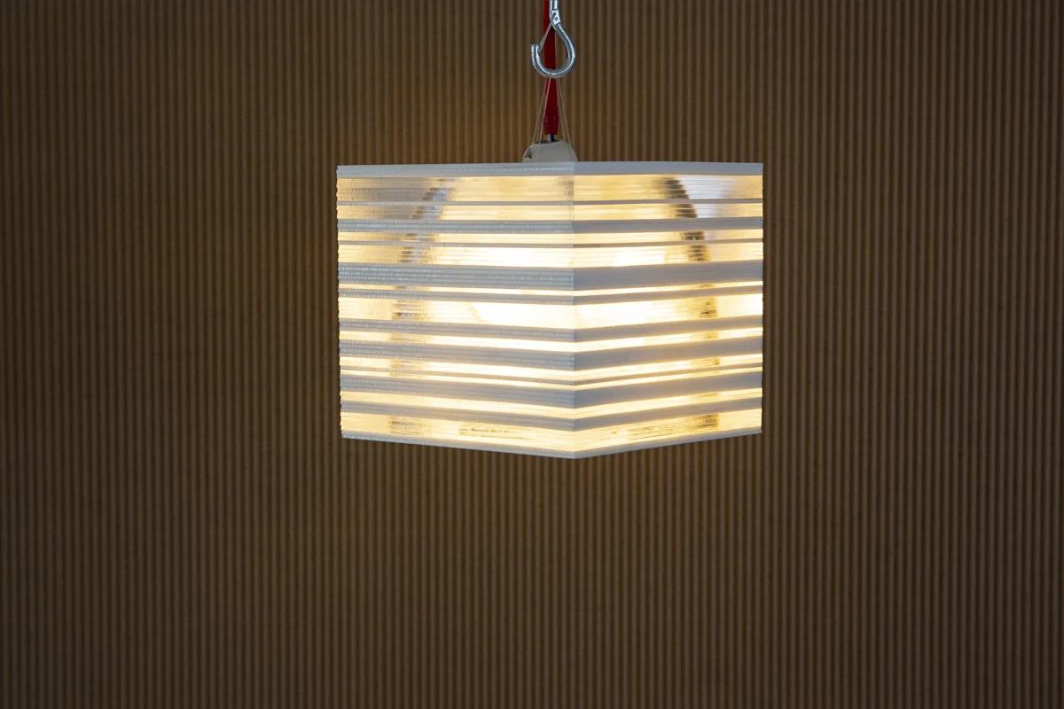 LAMP18_Photo-Michael_Young_1.jpg