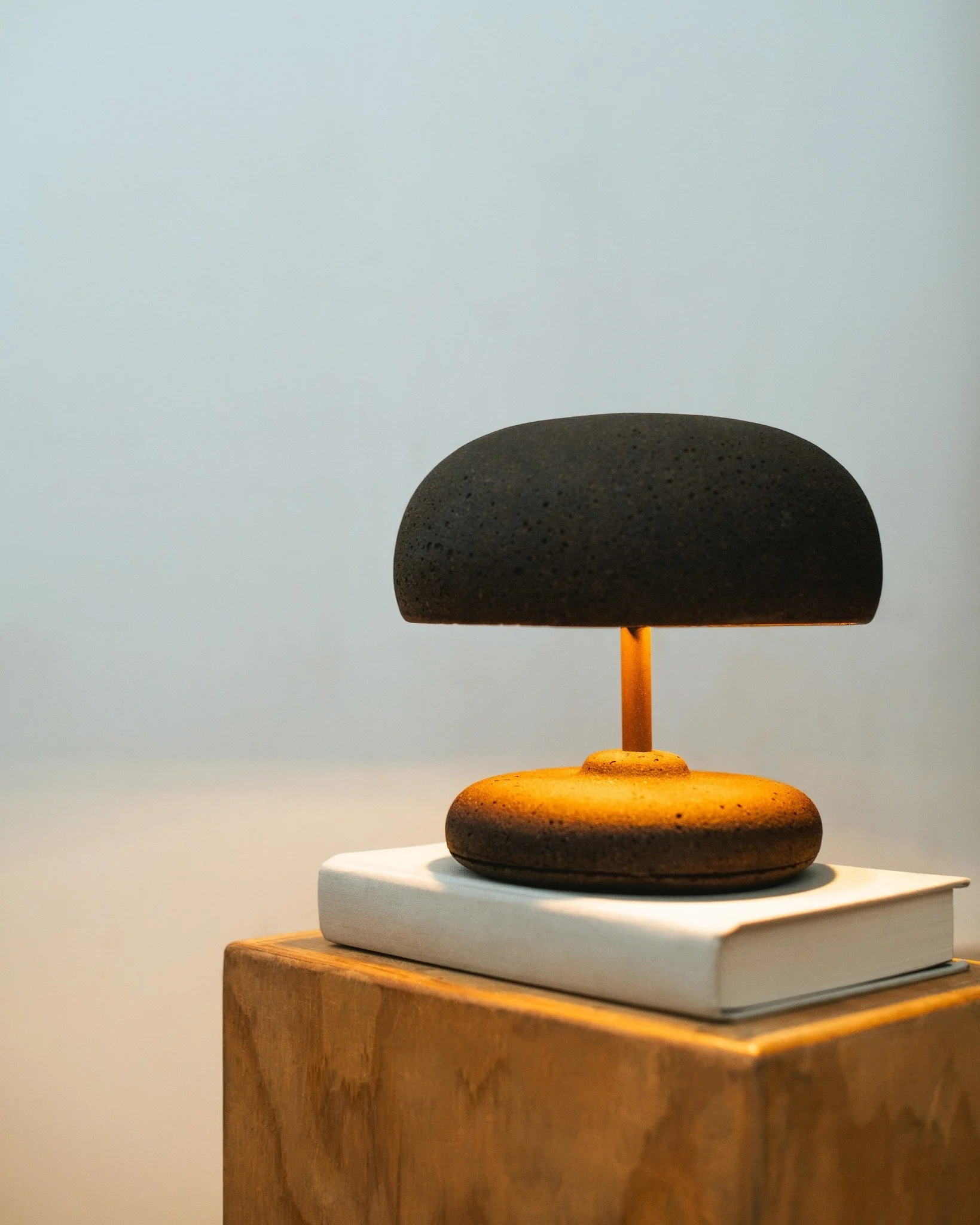 Good news for designers: L A M P 2026 is accepting entries until mid October. Student or professional, your original lamp belongs here. Link in bio to enter.

2024 Student Table Category Winner (tie): Gaia by Zoe Wilson

Gaia is an ambient table lamp