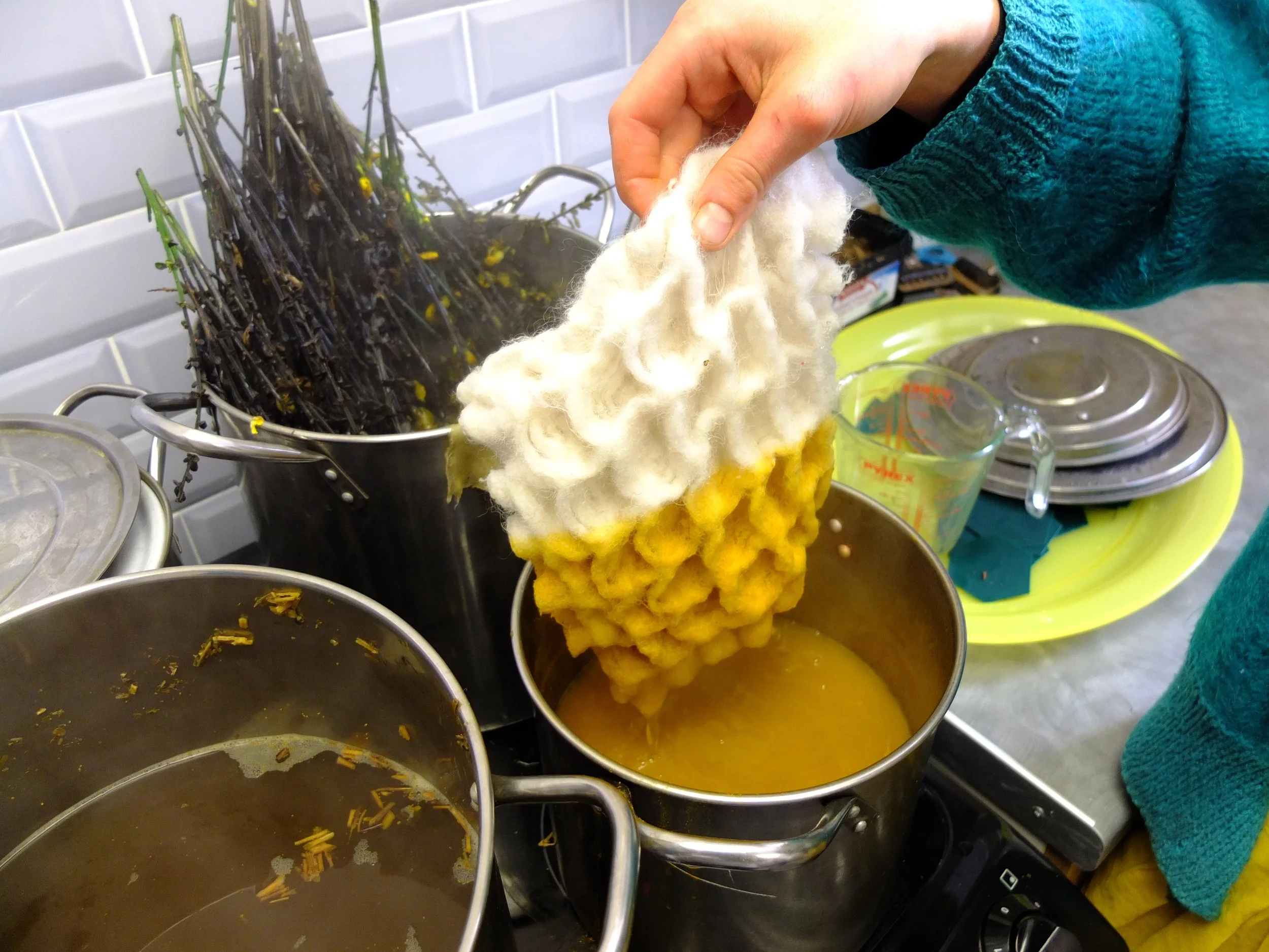 Naturally dyeing yarns with broom & weld plants, Kathy Beckett (image: Ingrid Shearer)