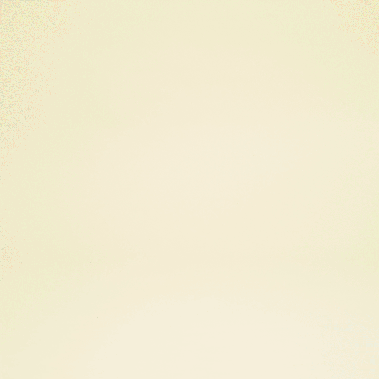 Ferragamo.gif