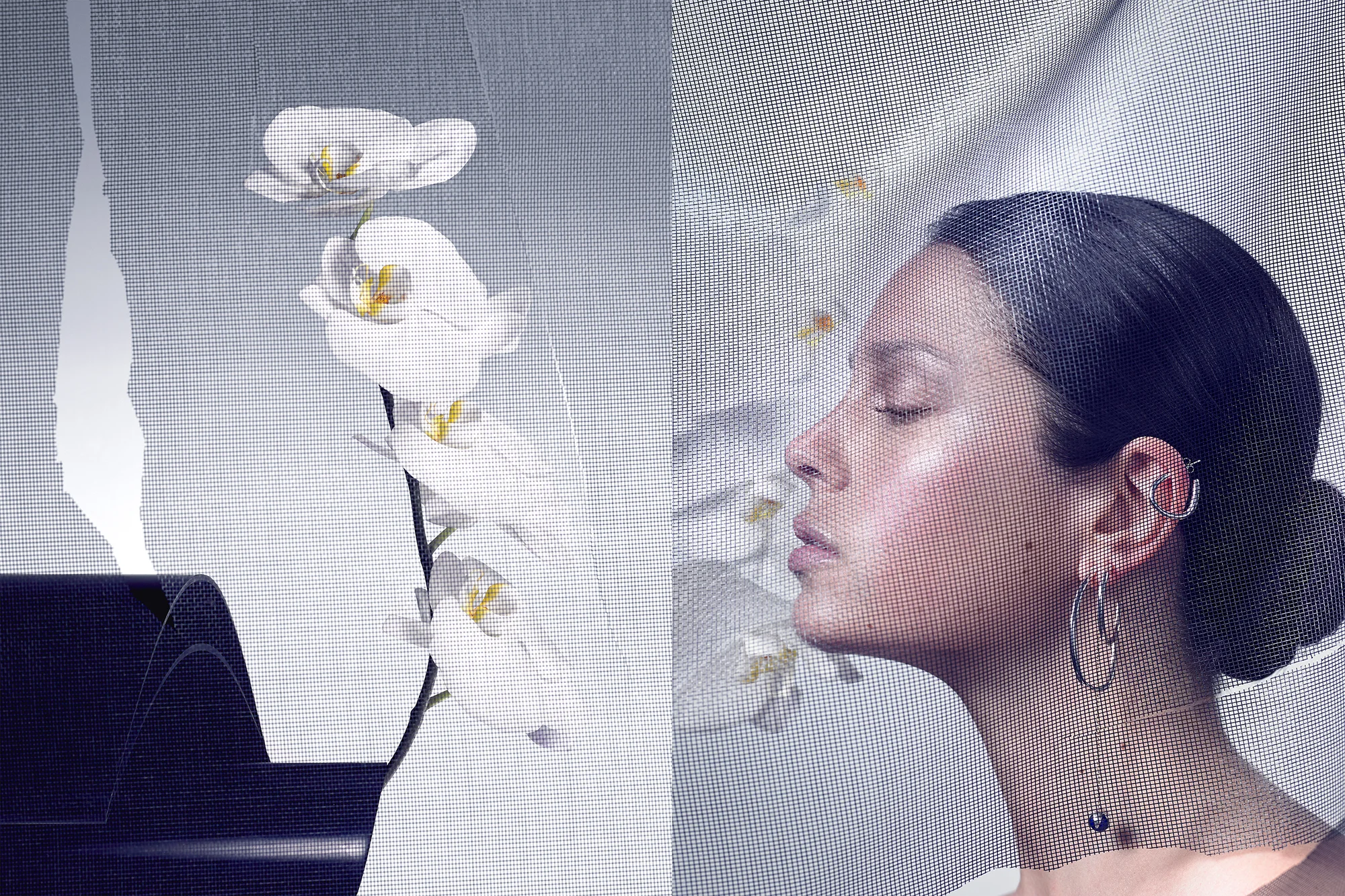 Siegel_Mcginn_Beauty_StillLife_dp_08.jpg