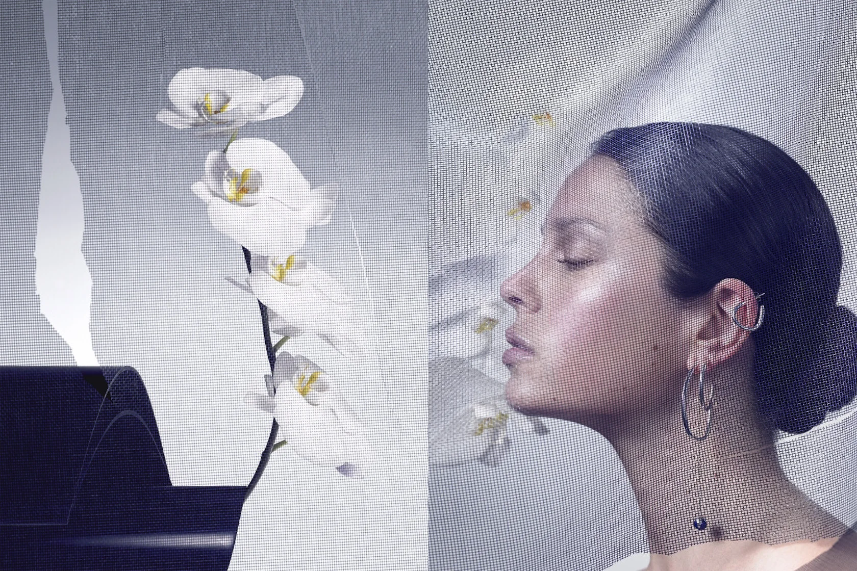 Beauty_StillLife_dp_08.jpg