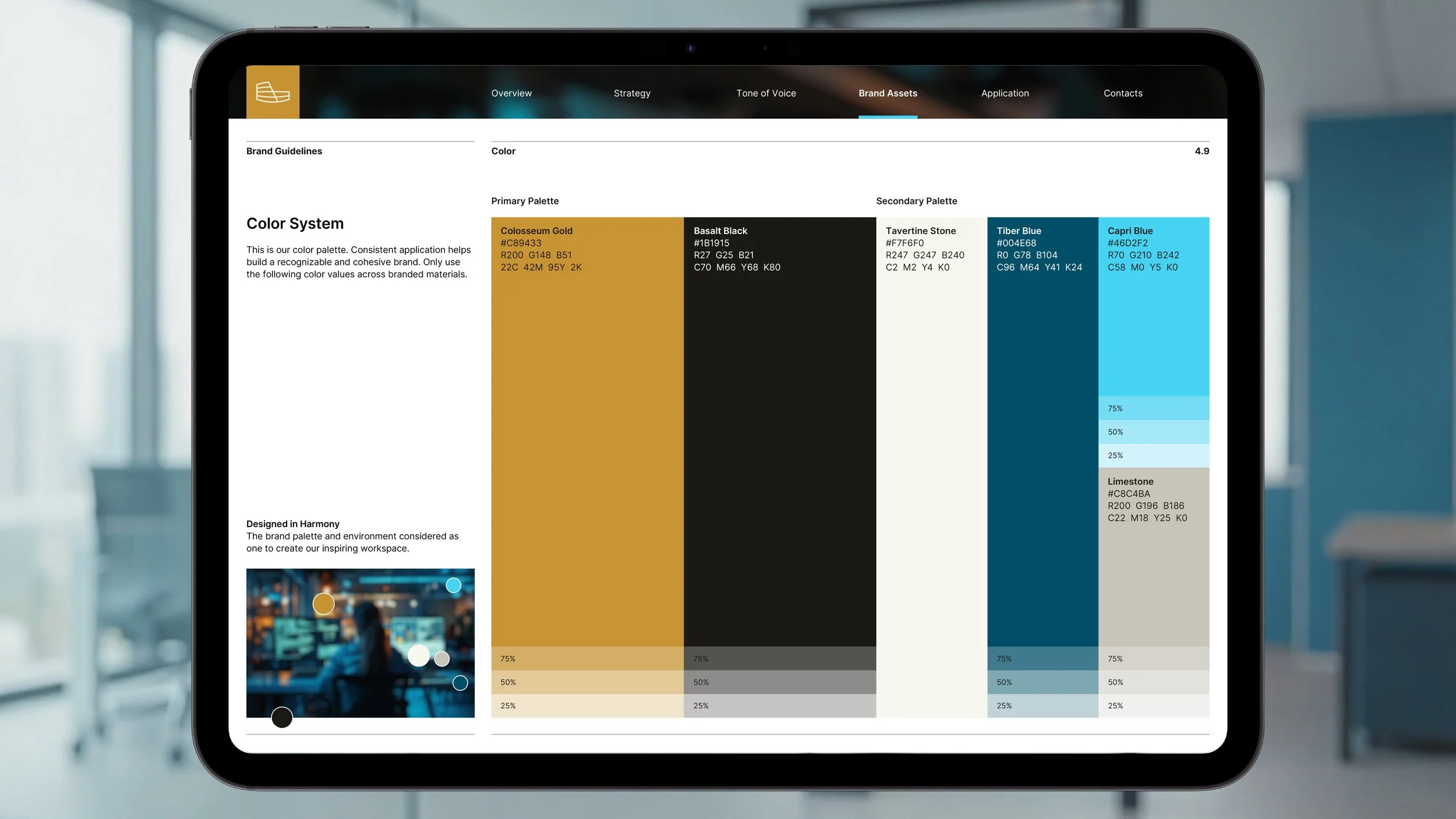 _Brand Guidelines Color in iPad B.jpg