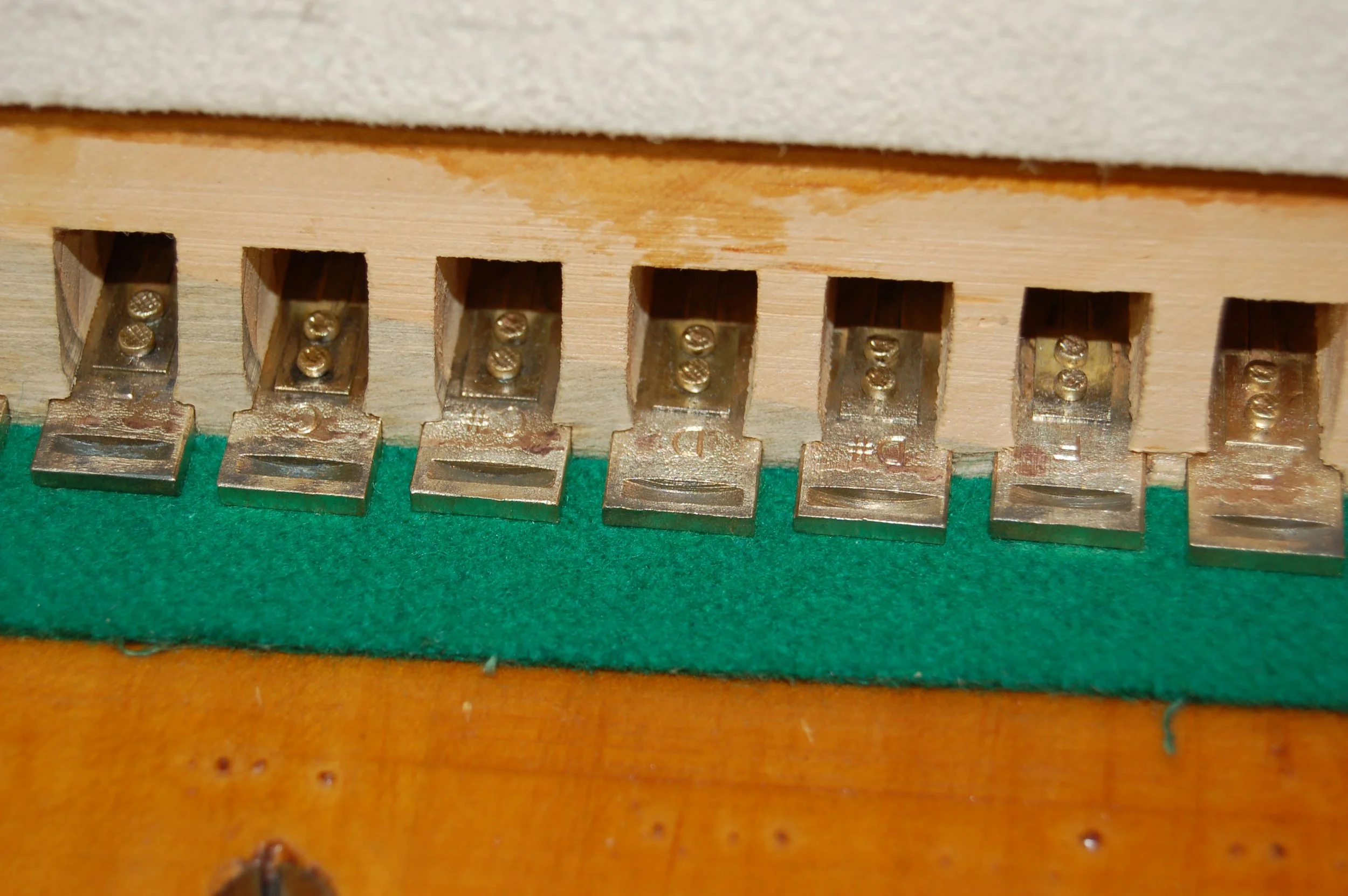 DSC_3661.JPG