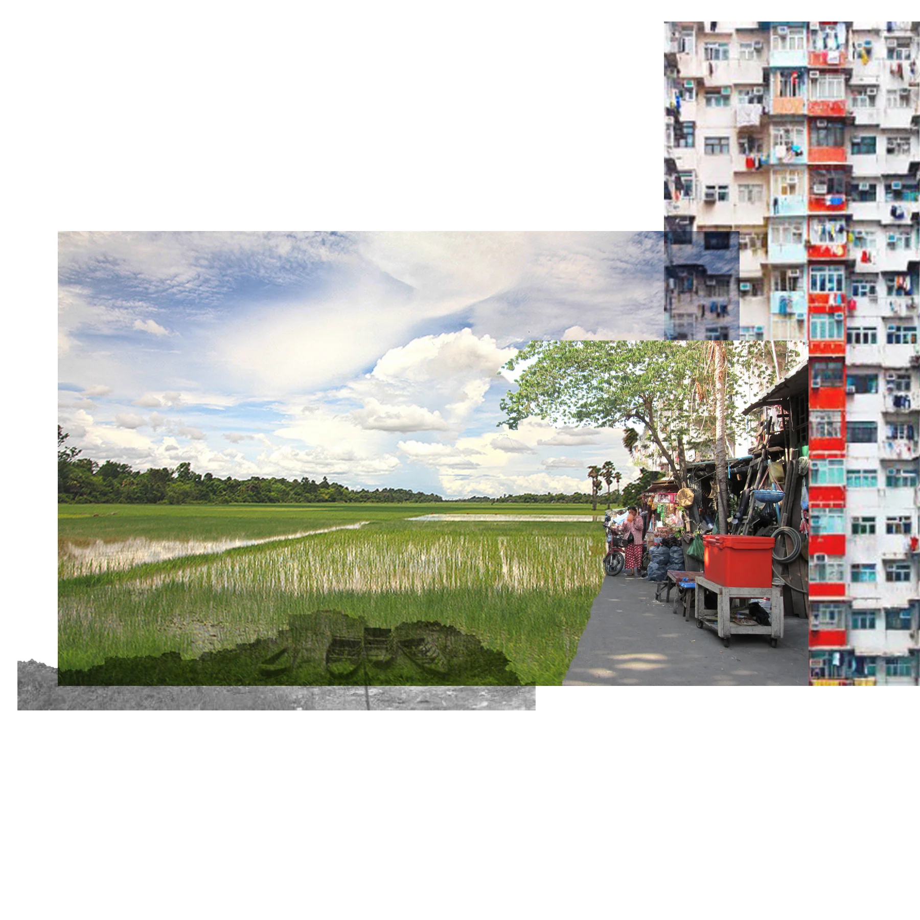 MKvan_webedit_image007.jpg