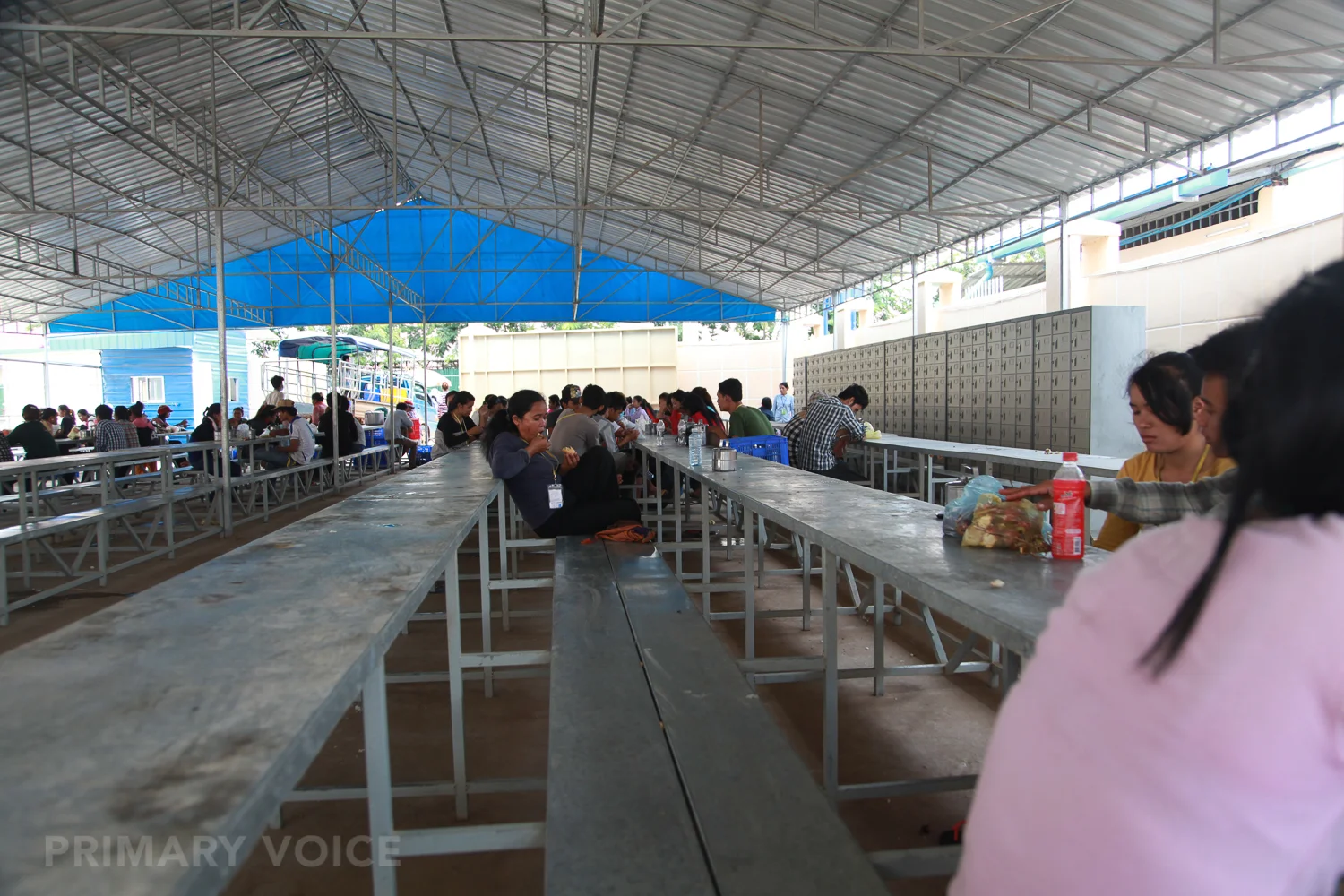 Primary Voice-0669.jpg