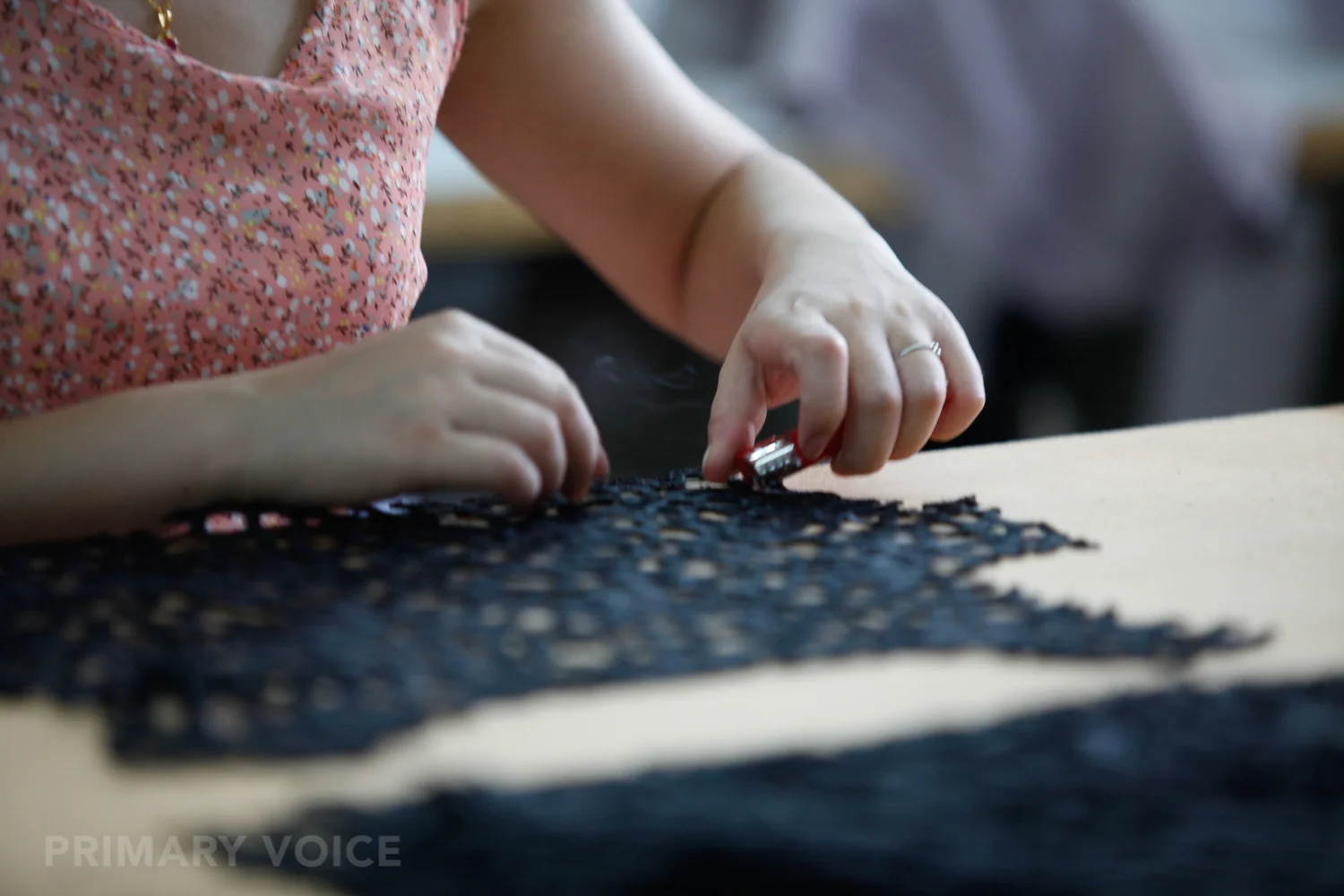 Primary Voice-0076.jpg