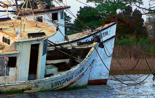 Photo by DigitalLowcountry.com